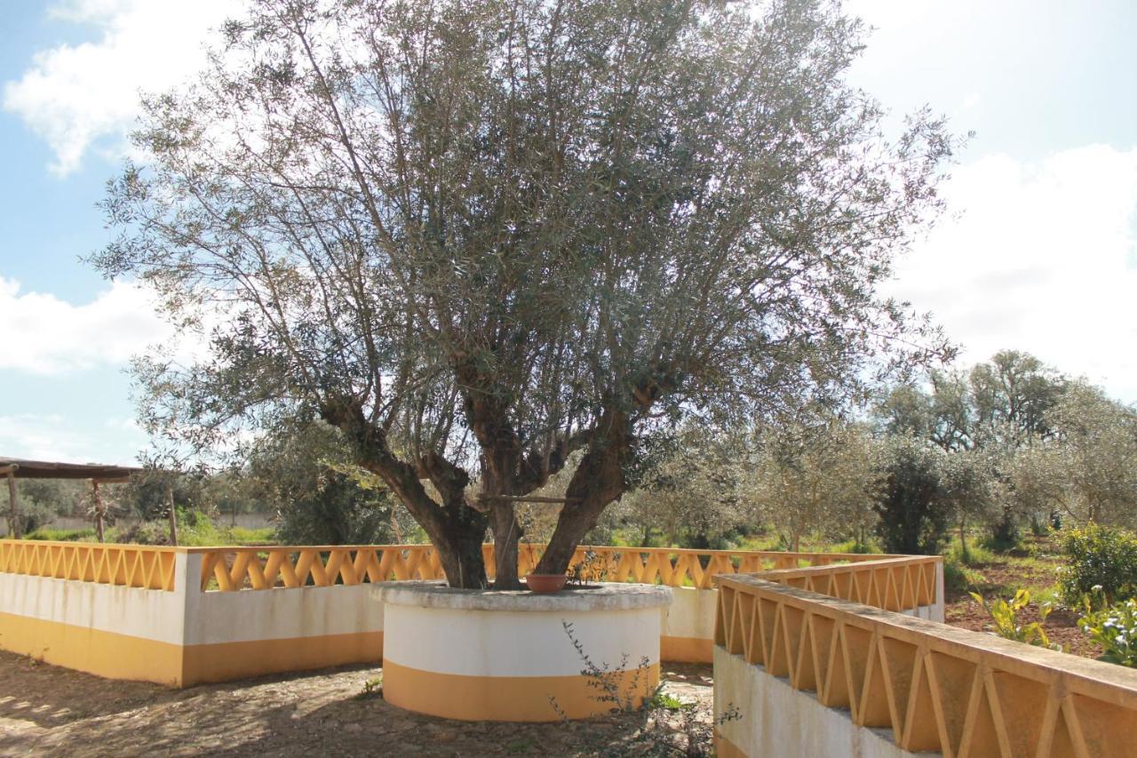 Montinho Do Palanque Villa Viana do Alentejo Exterior foto
