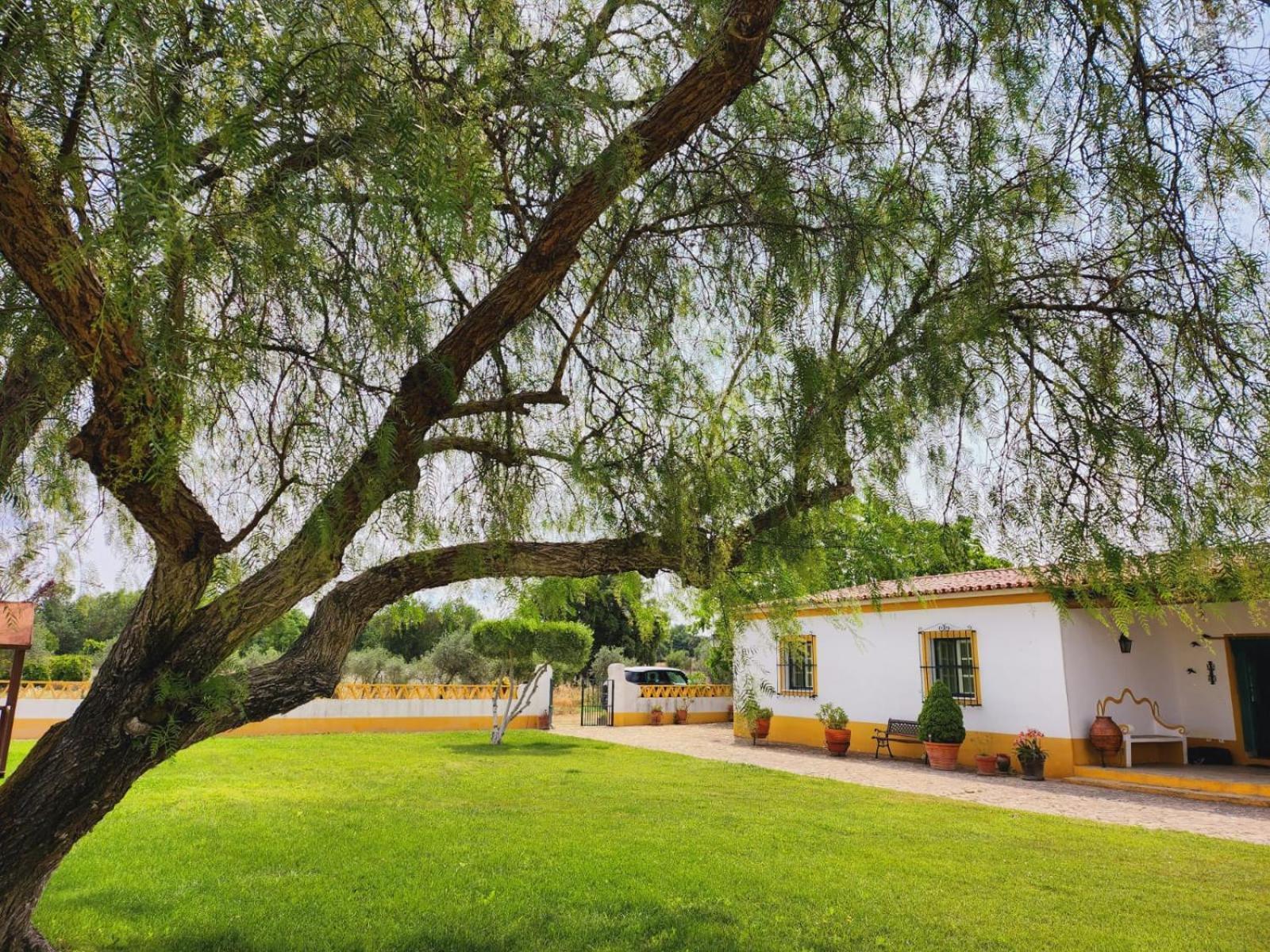 Montinho Do Palanque Villa Viana do Alentejo Exterior foto