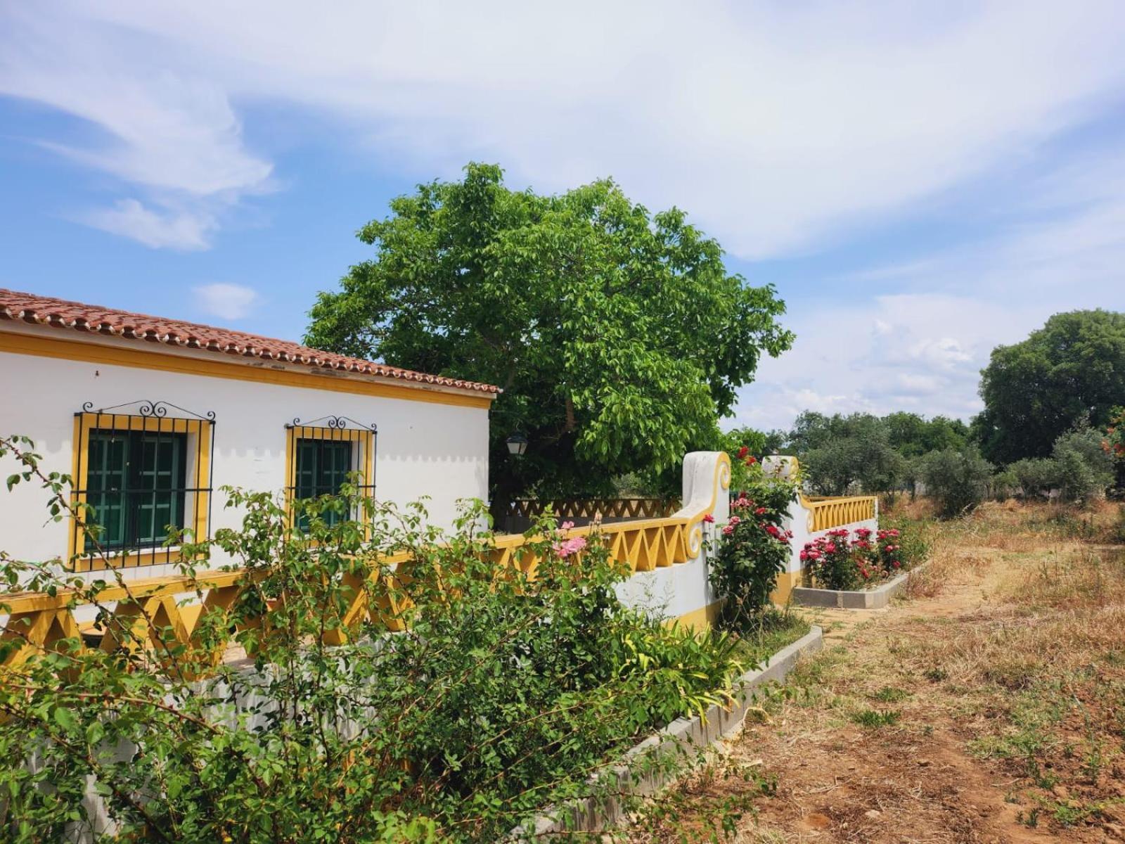 Montinho Do Palanque Villa Viana do Alentejo Exterior foto